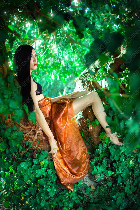 ����������� , ����