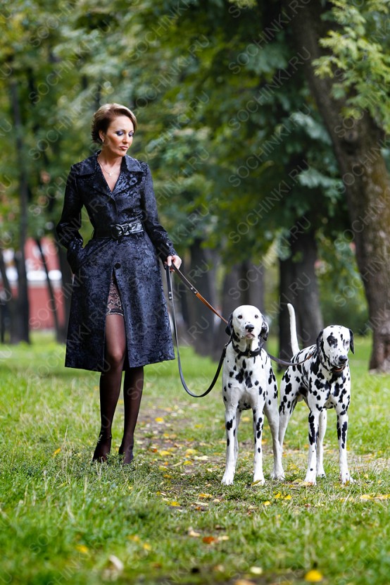 ����������� , ����