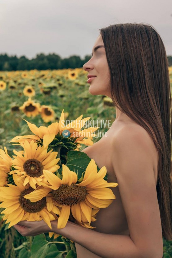 ����������� , ����